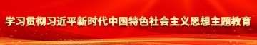 外国人与兽的av在线学习贯彻习近平新时代中国特色社会主义思想主题教育
